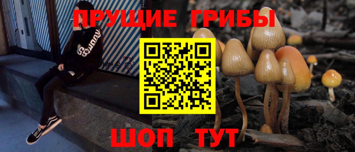 Учалы  Псилоцибиновые грибы MAGIC MUSHROOMS  Вход с VPN  Галлюциногенные грибы Psilocybine cubensis 